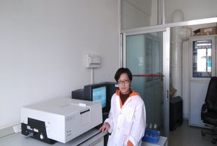 人員隊(duì)伍建設(shè)在公共技術(shù)服務(wù)中心的技術(shù)咨詢中的作用與策略